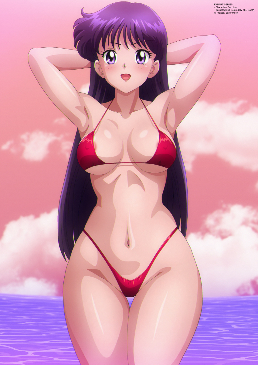 1girl absurd_res alluring artist_name bare_legs beach big_breasts bikini bishoujo_senshi_sailor_moon black_hair cleavage high_res nipples ocean pin_up purple_hair rei_hino sunset swimsuit toei_animation under_boob zel-sama