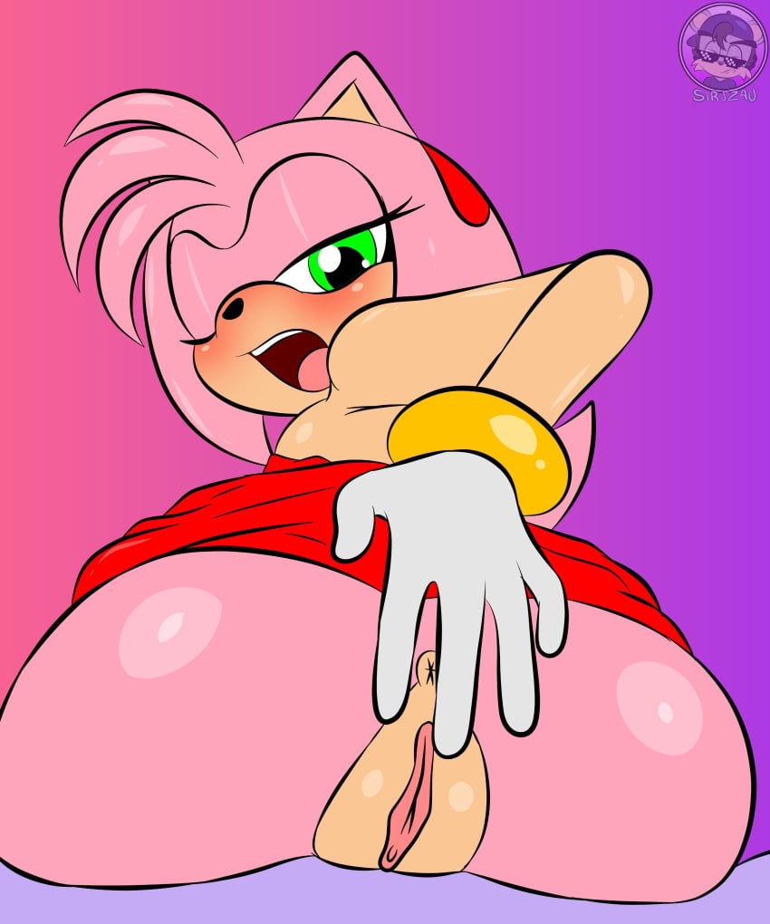 1girl 1girl absurd_res accessory amy_rose anthro anus ass breasts butt_focus clothed clothing eulipotyphlan fur genitals gloves green_eyes hair hair_accessory half-closed_eyes hand_on_butt handwear hedgehog high_res looking_at_viewer looking_back looking_back_at_viewer looking_pleasured mammal narrowed_eyes one_eye_closed open_mouth partially_clothed pink_body pink_fur pink_hair pussy sega sega sirjzau sonic_the_hedgehog_(series) tail