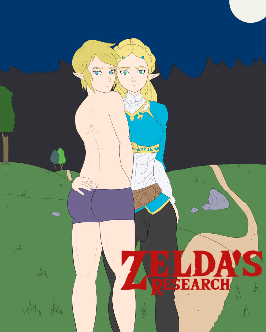 1boy 1futa comic cover_page futanari futanari_on_male link princess_zelda rolovo tagme the_legend_of_zelda zelda zelda's_research_(comic) zelda_(breath_of_the_wild)